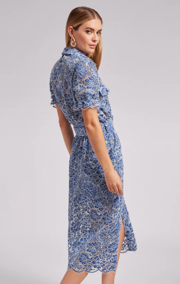 collared button up lace dress