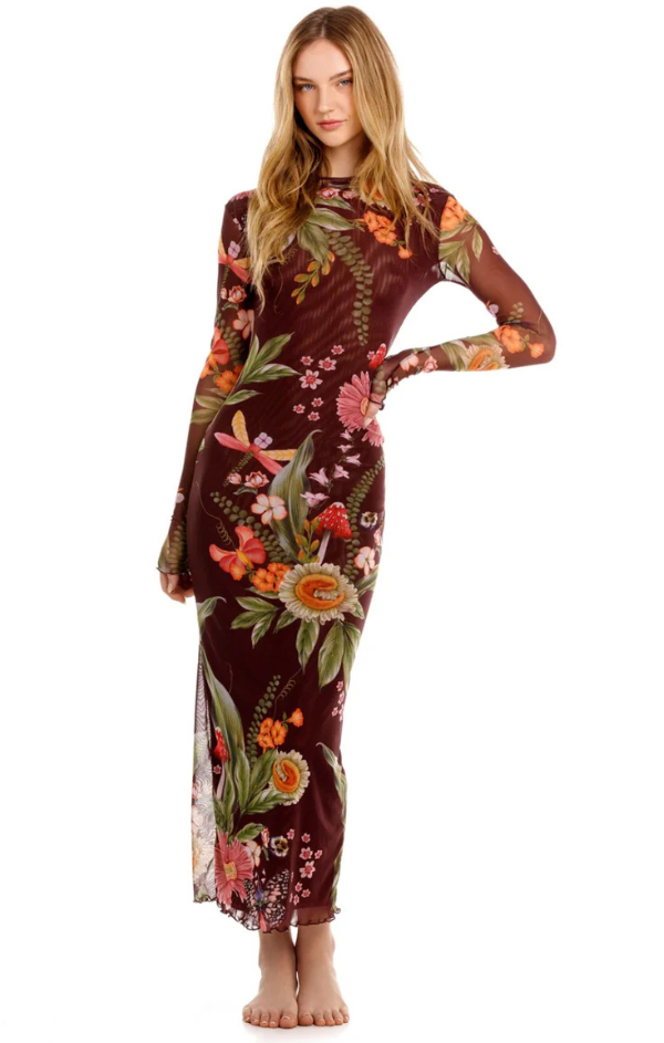 Robin Ambar Maxi Dress