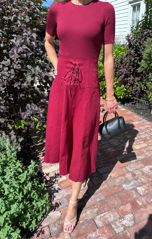 oxblood midi dress Neve Dress in Velvet