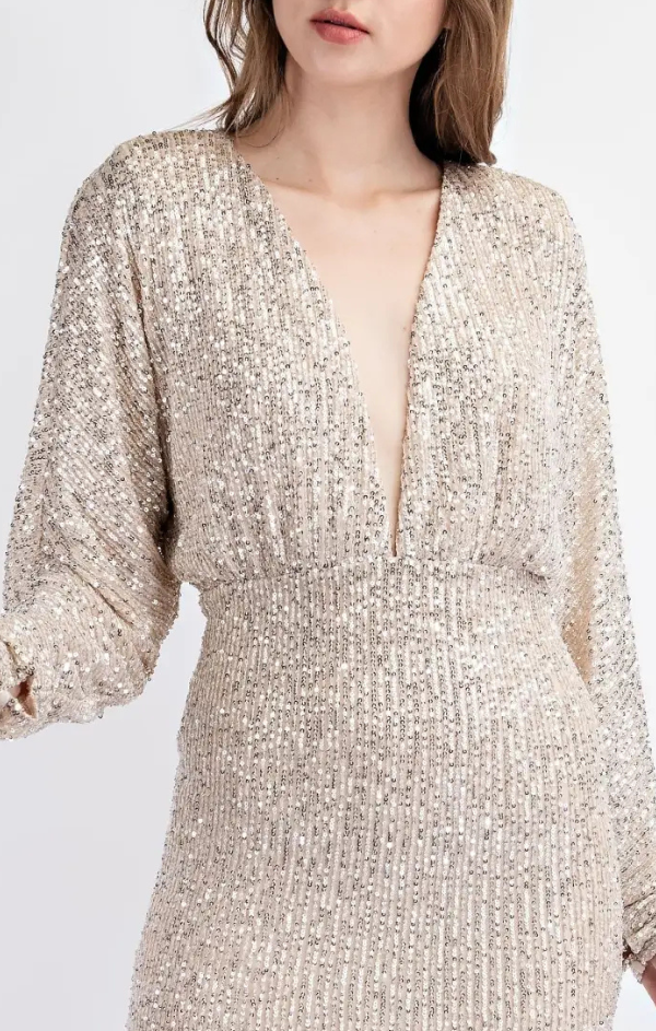 V Neck Long Sleeve Sequin Mini Dress