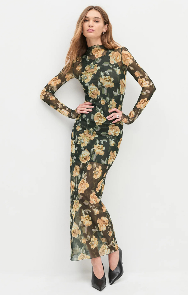 The Sheer Fantasy Dress