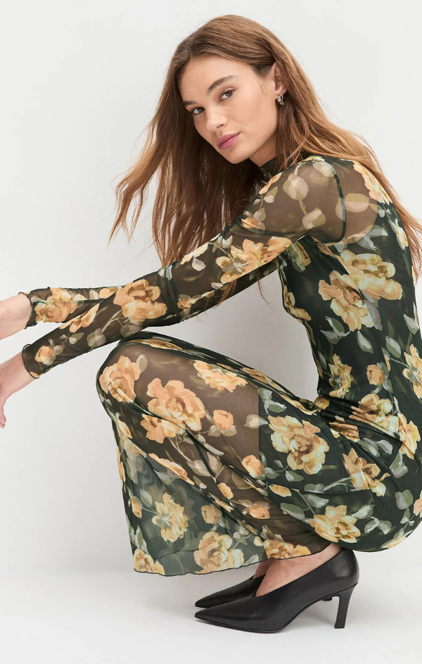 The Sheer Fantasy Dress