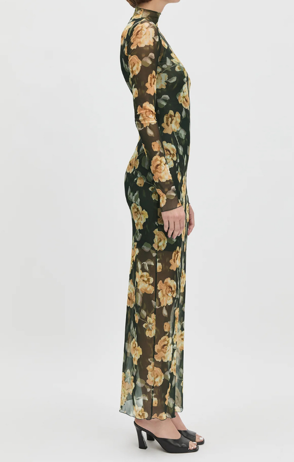 The Sheer Fantasy Dress