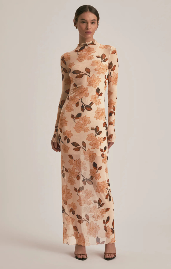 The Sheer Fantasy Dress