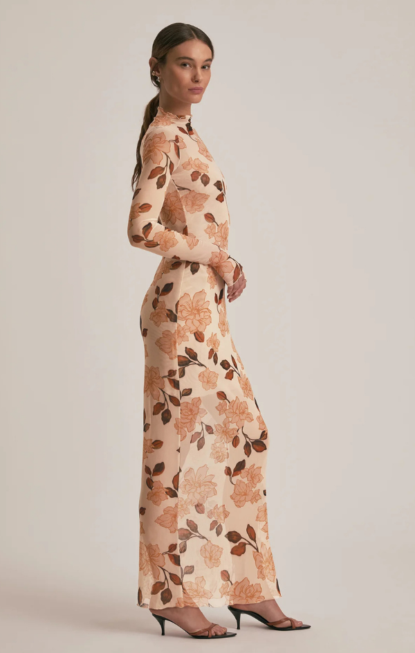 The Sheer Fantasy Dress