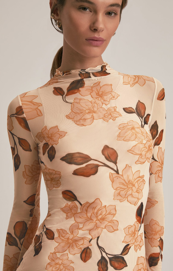 The Sheer Fantasy Dress