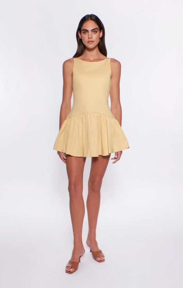addison mini dress Addison Mini Dress Peixoto Wear