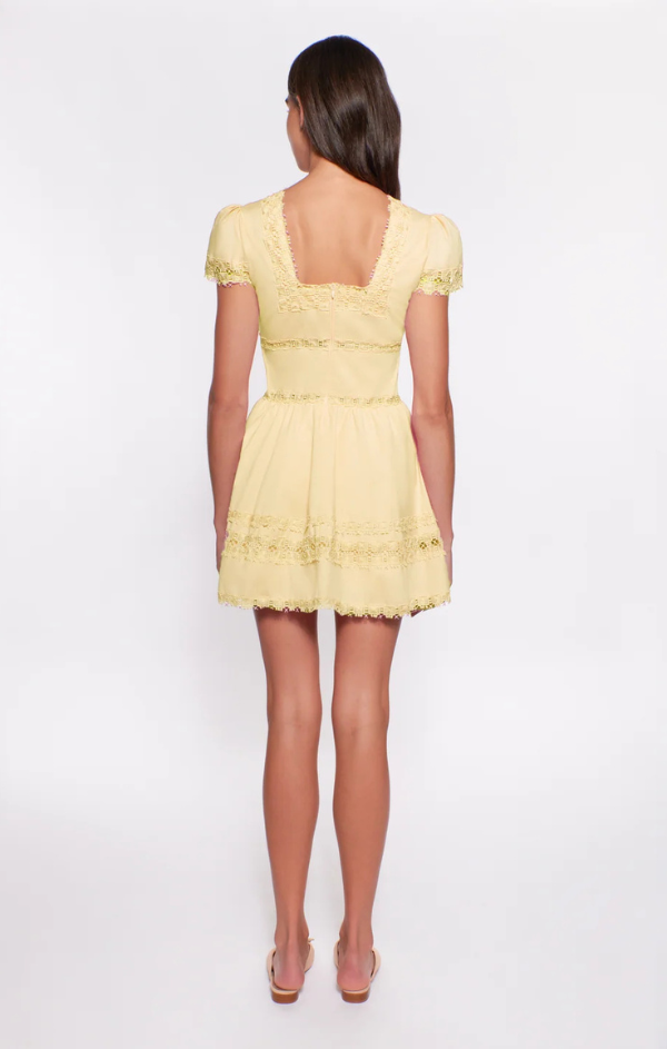 peixoto piper mini dress Peixoto Piper Mini Dress